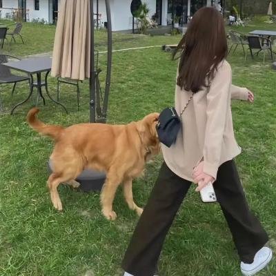 喜剧轻松